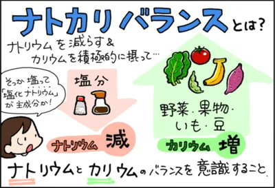ナトカリバランスとは？