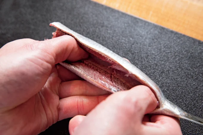 いわしのさばき方2 腹側から中骨の上にまん中から親指を入れ、両脇へとゆっくり開く