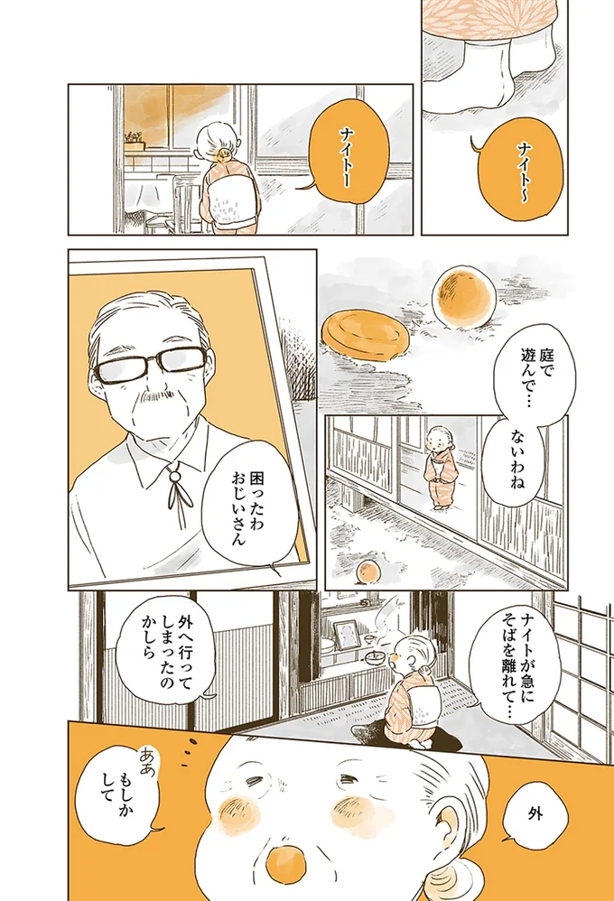 『姫ばあちゃんとナイト 』より