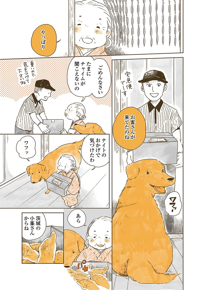 『姫ばあちゃんとナイト 』より