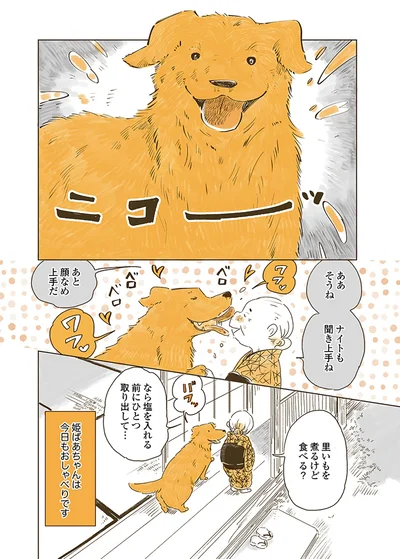 『姫ばあちゃんとナイト 』より