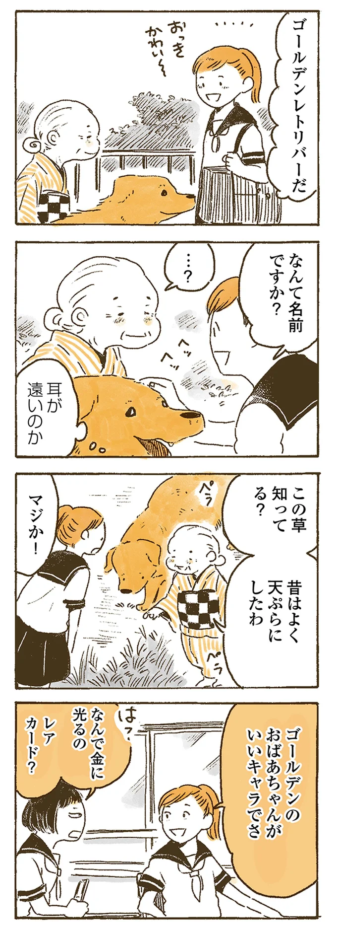 『姫ばあちゃんとナイト 』より