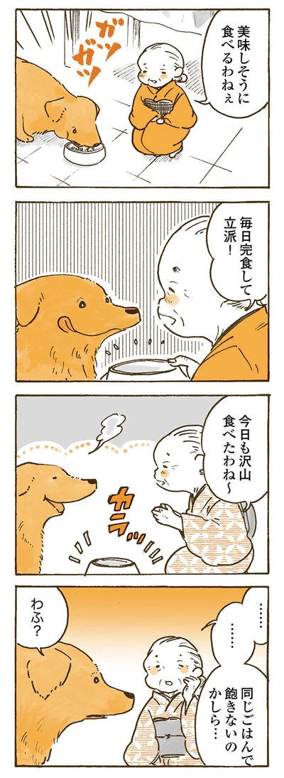 『姫ばあちゃんとナイト 』より