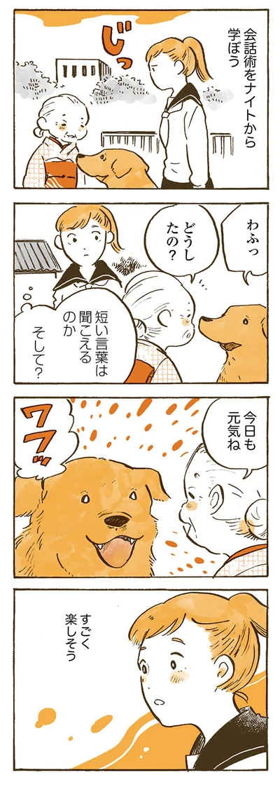『姫ばあちゃんとナイト 』より