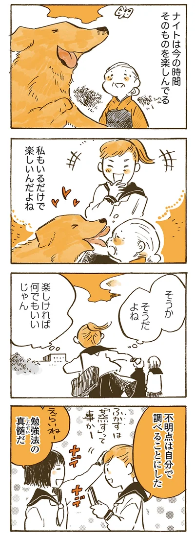 『姫ばあちゃんとナイト 』より