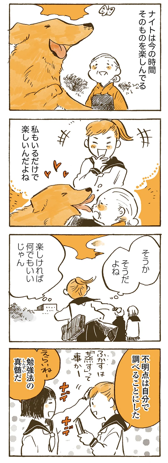 『姫ばあちゃんとナイト 』より