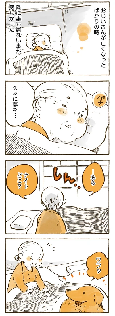 『姫ばあちゃんとナイト 』より