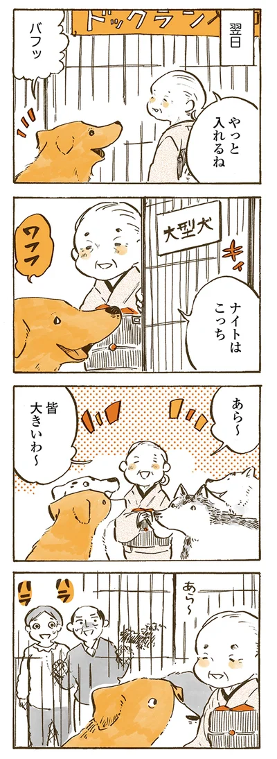 『姫ばあちゃんとナイト 』より