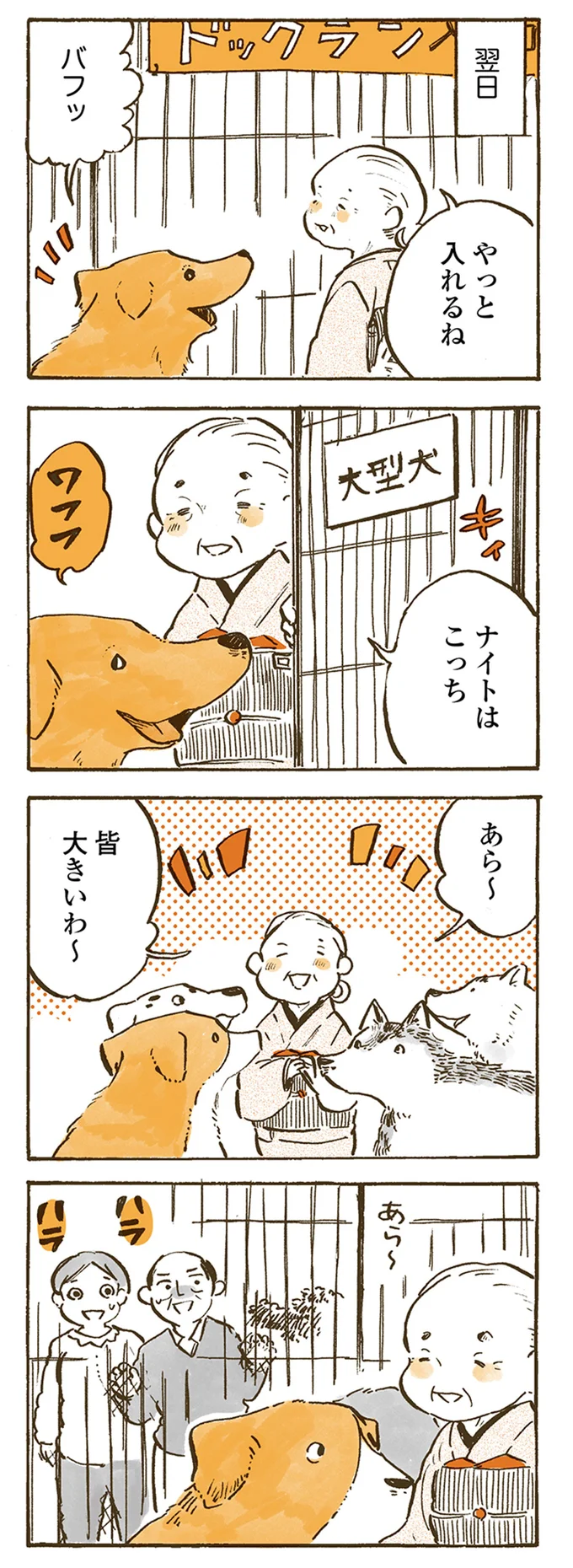 『姫ばあちゃんとナイト 』より