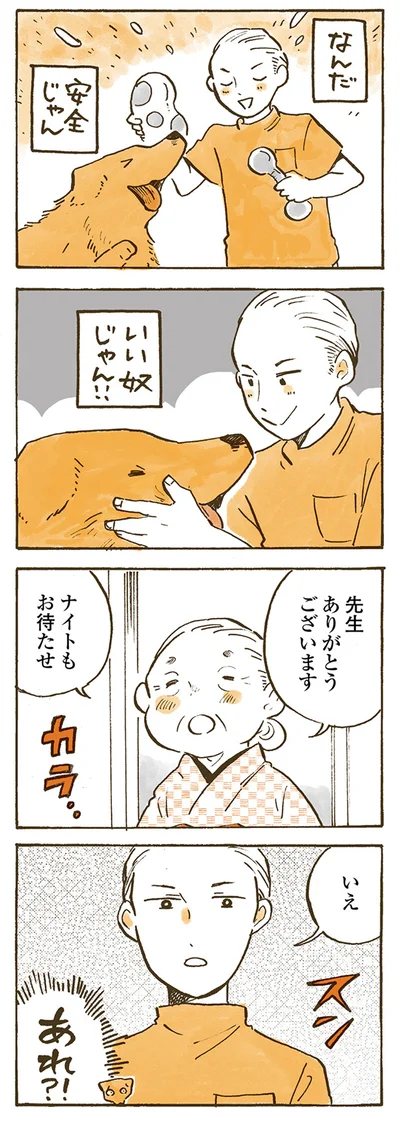 『姫ばあちゃんとナイト 』より