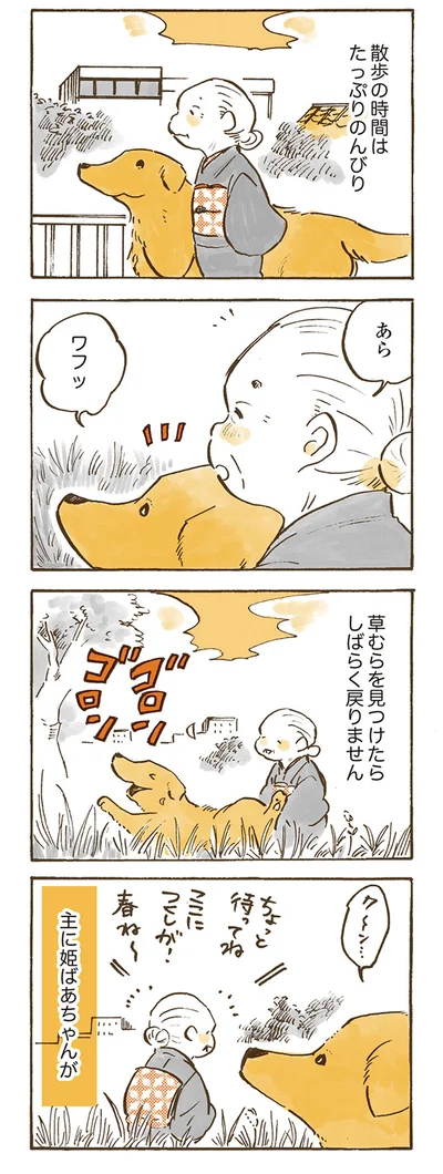 『姫ばあちゃんとナイト 』より