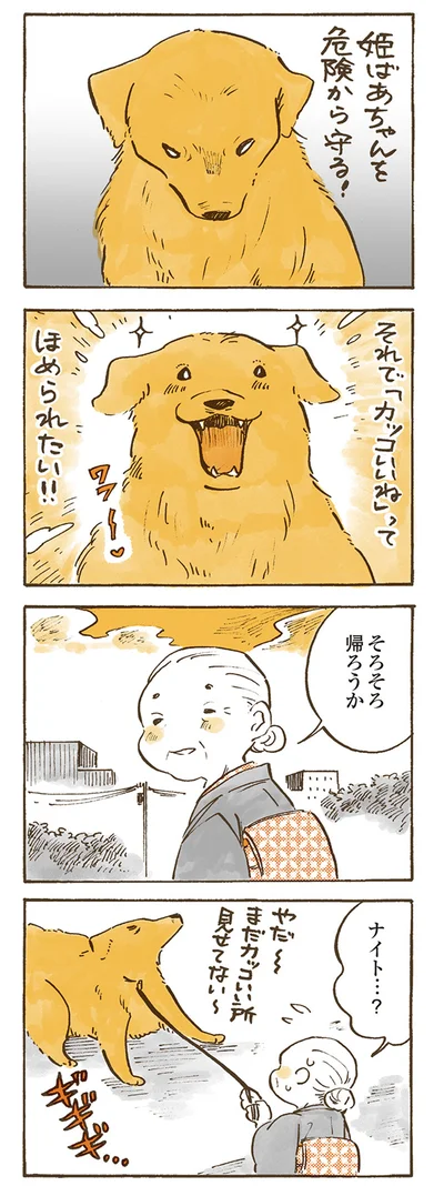 『姫ばあちゃんとナイト 』より