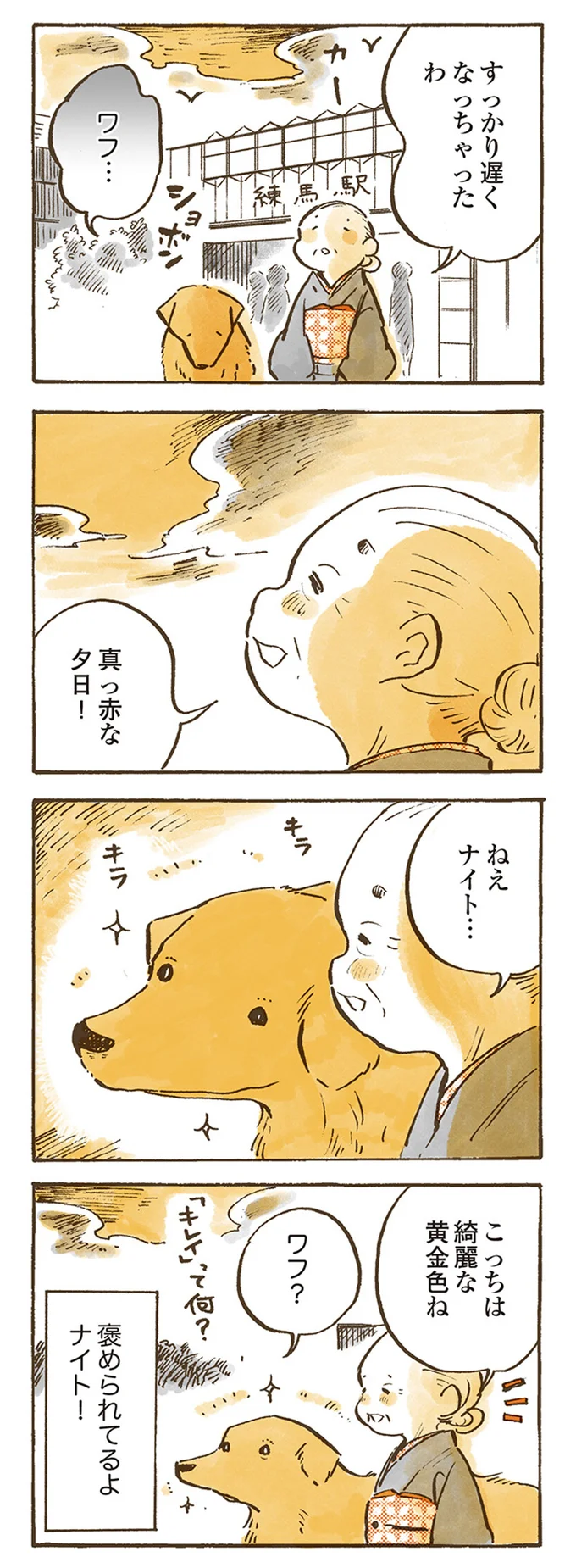 『姫ばあちゃんとナイト 』より