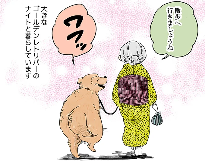 散歩へ行きましょうね