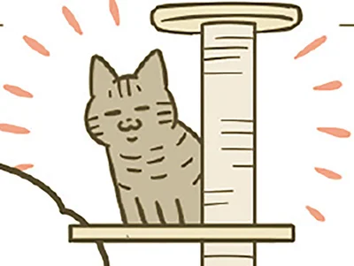 キャットタワーも制覇