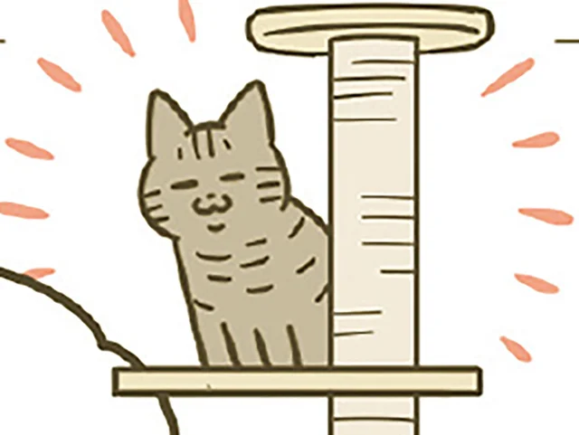 緊張しながらも慣れてきた？ キャットタワーも制覇し始めたのが愛おしくて