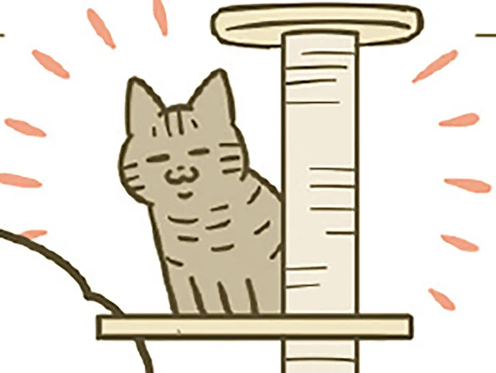 緊張しながらも慣れてきた？ キャットタワーも制覇し始めたのが愛おしくて