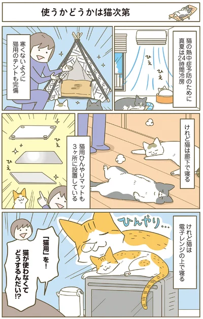 猫用を使わない猫って…！