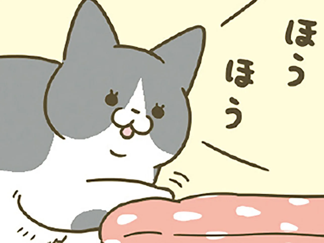 ほう」「ほうほう」飼い主が作ったあったかベッドに興味津々の猫