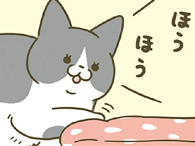 「ほう」「ほうほう」飼い主が作ったあったかベッドに興味津々の猫