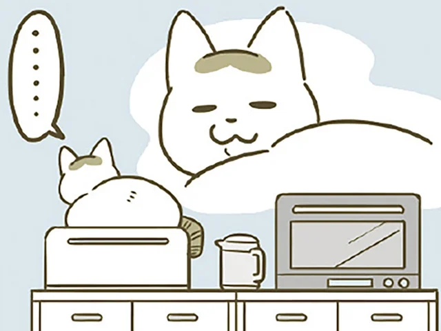 現行犯で叱らないとダメ？ 猫のイタズラ、敢えて黙々と片付けていたら