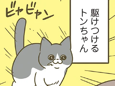 駆けつけると