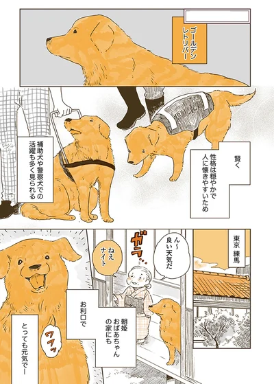 ん～　良い天気だ　ねえナイト
