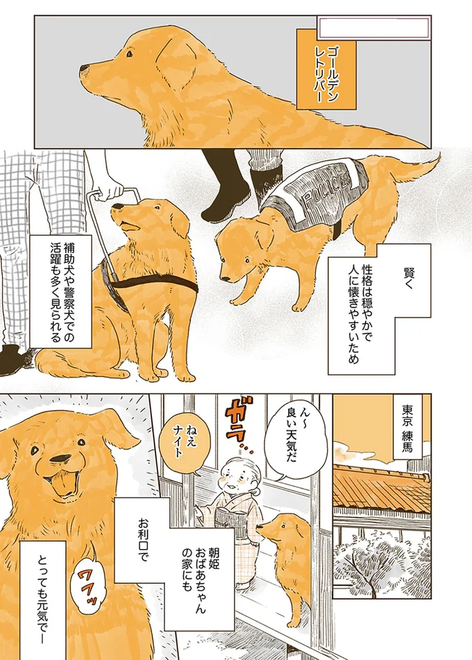 ん~ 良い天気だ ねえナイト