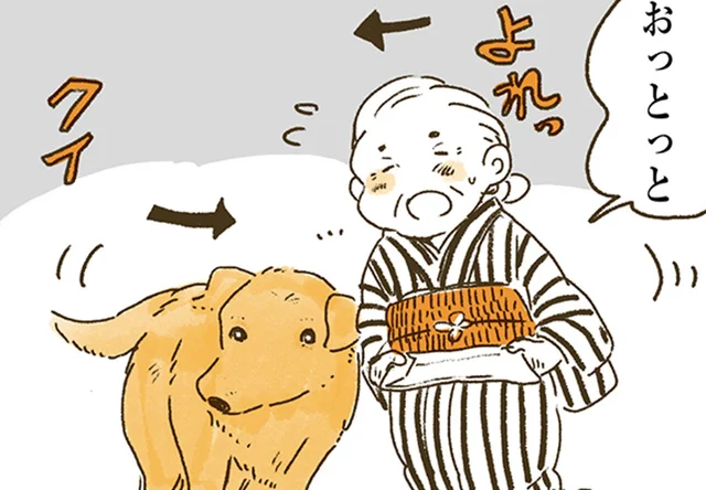 大好きだから支えたい。おばあちゃんとレトリバーの心温まる関係