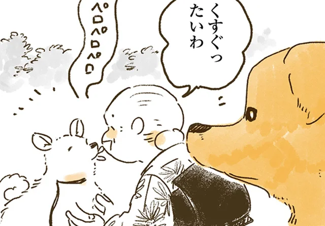 ヤキモチ全開!?おばあちゃんっ子レトリバーとのおさんぽ