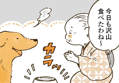 今日も沢山食べたわね～