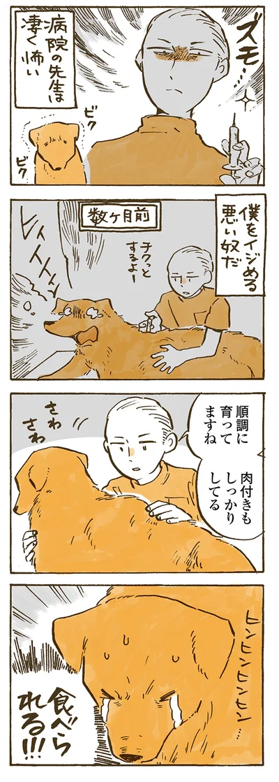  病院の先生は凄く怖い