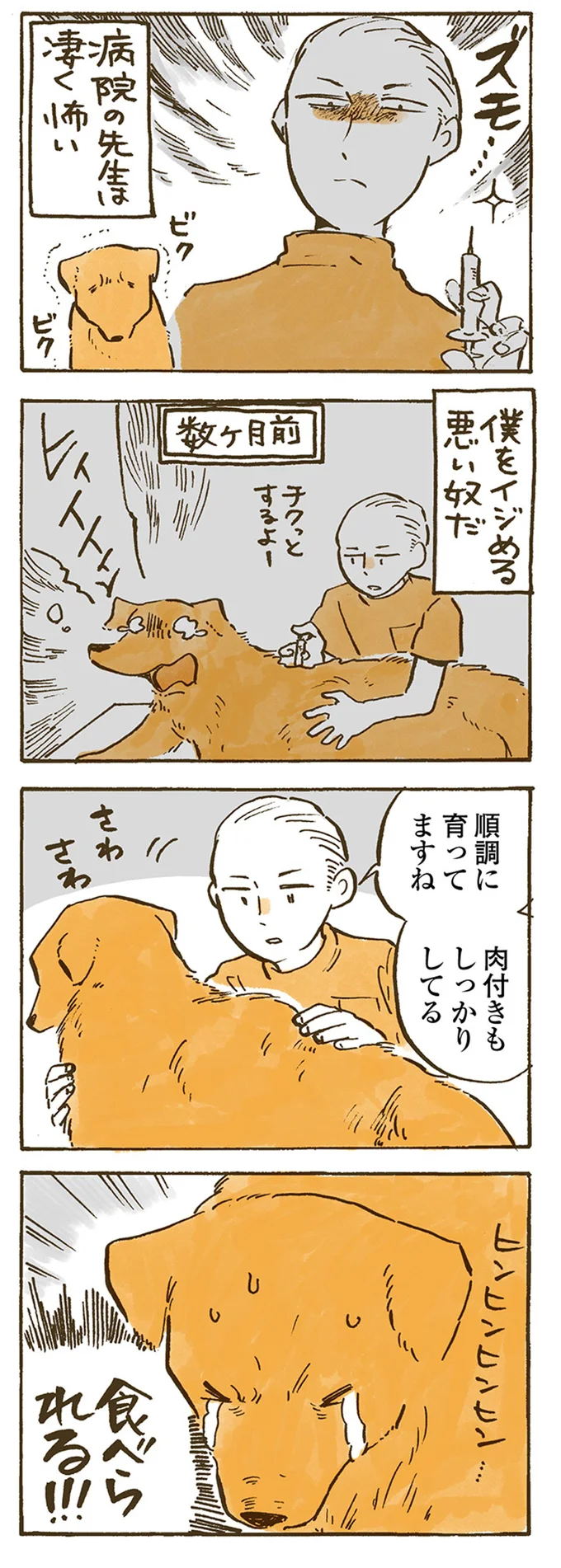 病院の先生は凄く怖い