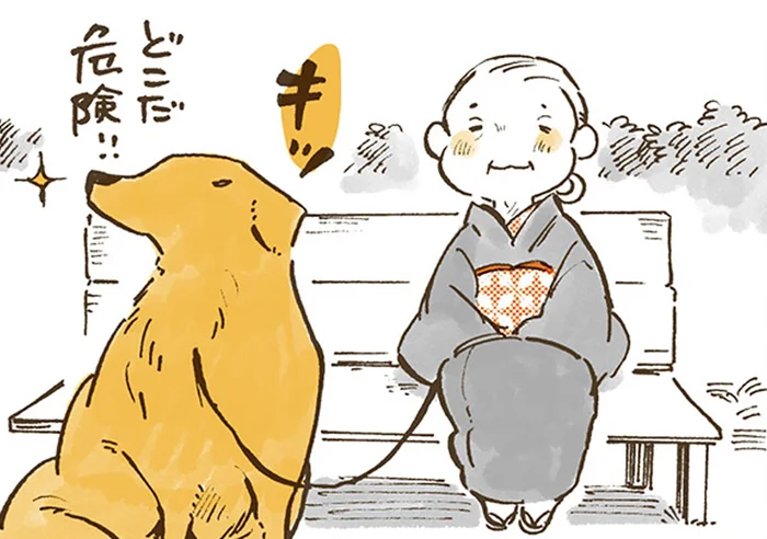 寄り道も休憩も楽しみながら。おばあちゃんとレトリバーの春の1日