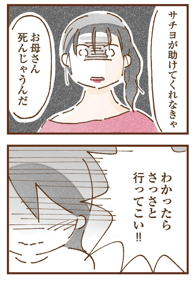 『私の人生を食べる母』より
