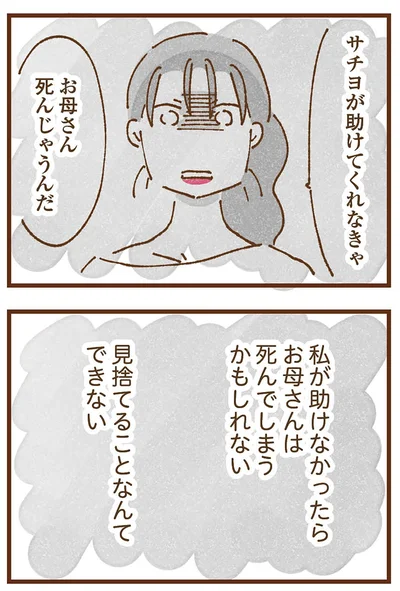 『私の人生を食べる母』より