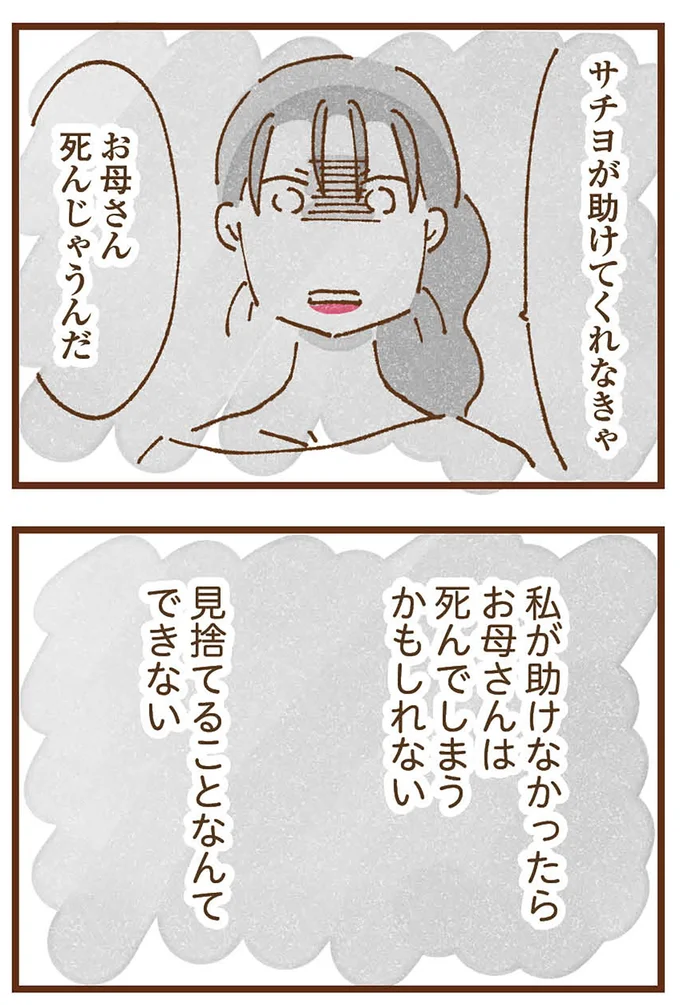 『私の人生を食べる母』より