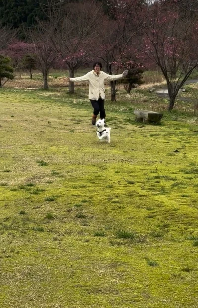 飼い主さんと追いかけっこ▶全力で楽しみ…（⇒次へ）
