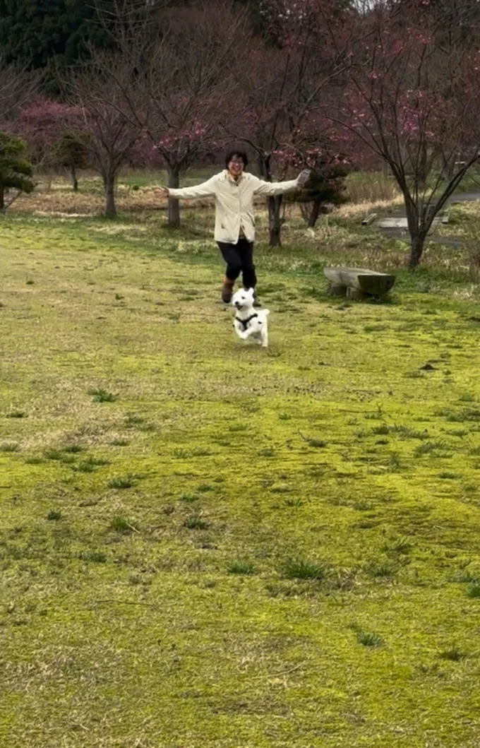 飼い主さんと追いかけっこ▶全力で楽しみ…(⇒次へ)
