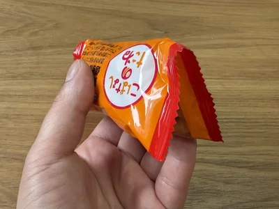 裏側を表にして半分に折る（▶次へ）