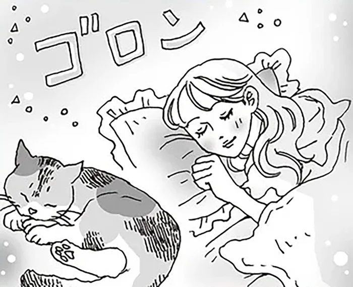 猫みたいに過ごしてみない？心も体もふわっと軽くなる、白川さんの週末セルフケア