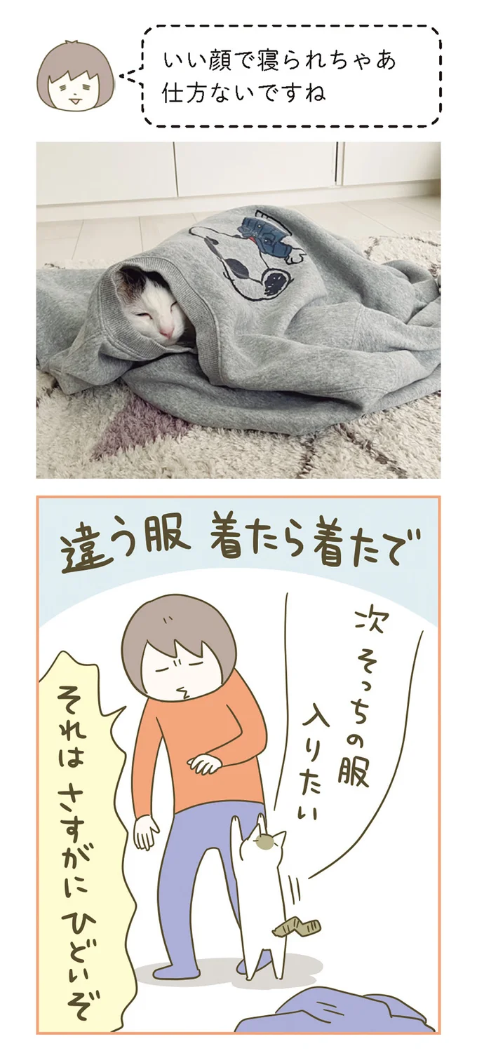 『うちの猫がまた変なことしてる。７』より