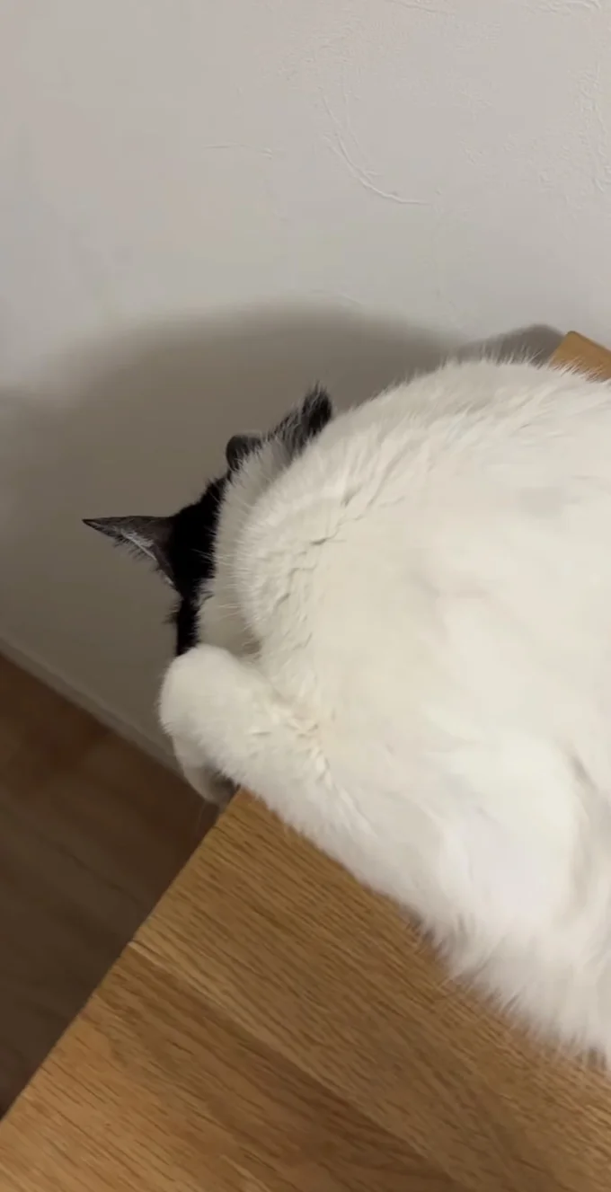 なにもいない▶手を伸ばして…(⇒次へ)