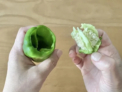 種がスポッと取れて快感！（▶手でもできる？）