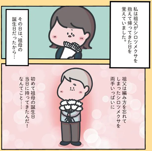 祖父がシロツメクサを抱えて帰ってきた日を覚えていました
