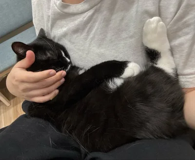 腕の中で寝ている姿に癒されます▶この日はブブちゃん！（⇒次へ）