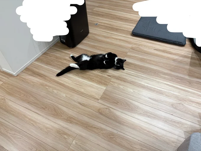 無防備な姿にほっこり▶穏やかなブブちゃんと好奇心旺盛なククちゃん（⇒次へ）