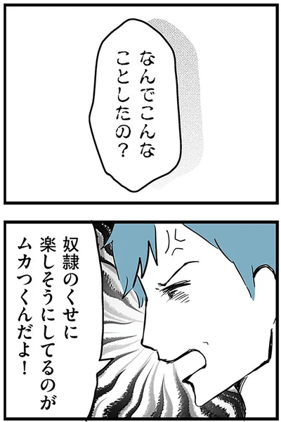 『モラハラ夫討伐日記 ～「今日からお前は奴隷だから」で始まった結婚生活を、離婚裁判で終わらせた話～』より