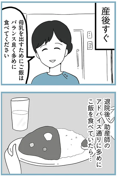 『モラハラ夫討伐日記 ～「今日からお前は奴隷だから」で始まった結婚生活を、離婚裁判で終わらせた話～』より