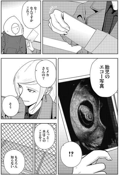 なんですかこれ？